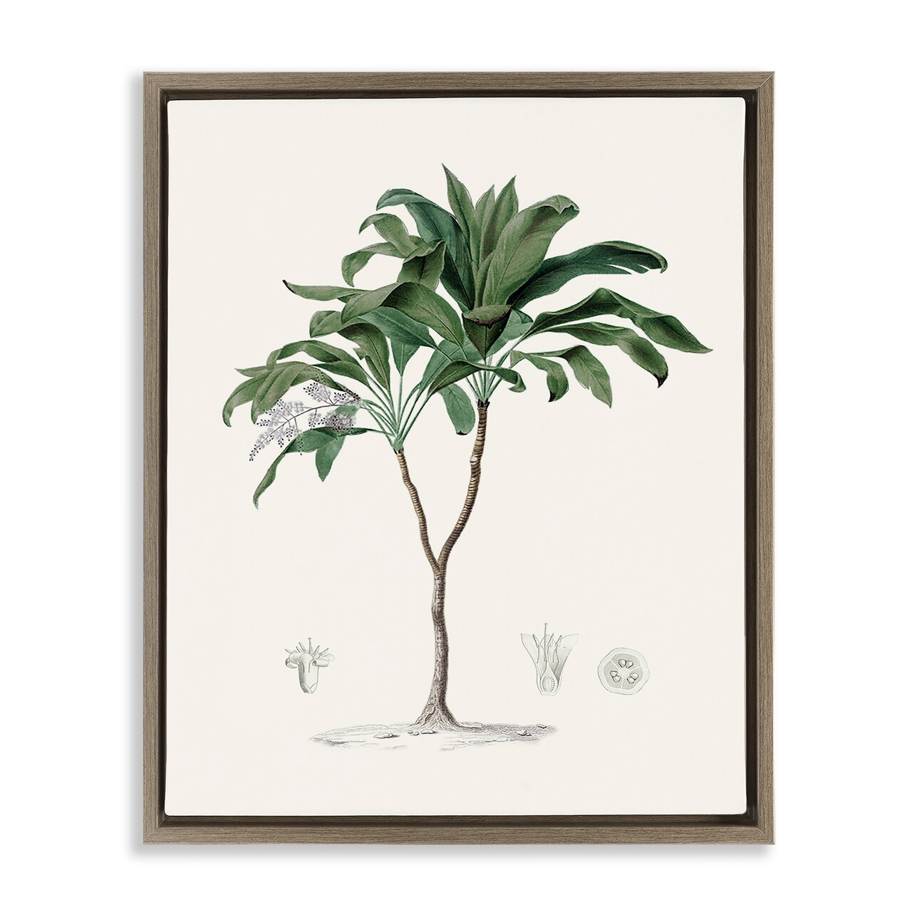 Stupell Industries Coastal Palms Vintage Floating Frame, design by Val Rhodes